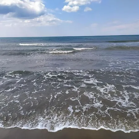 Semesterbostad Alamanda Du Roi - Le Grau-du-Roi