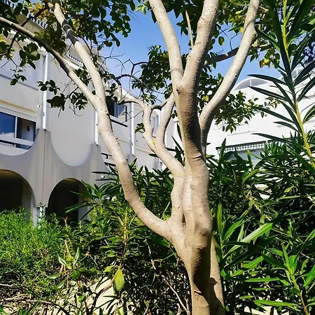 Semesterbostad Alamanda Du Roi - Le Grau-du-Roi