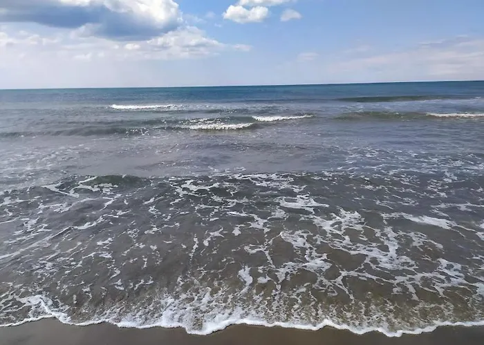 Vakantiehuis Alamanda Du Roi - Le Grau-du-Roi