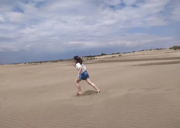 Alamanda Du Roi - Le Grau-du-Roi