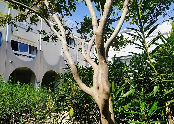 Casa de Férias Alamanda Du Roi - Le Grau-du-Roi